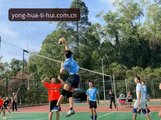 华体会体育数据服务实用指南:如何高效获取专业体育数据